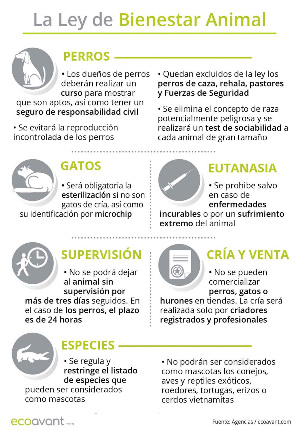 Todo sobre la Ley de Bienestar Animal MB Asesores de Seguros